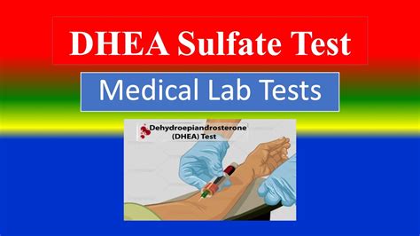 analyzer lab to do dhea-s|lab test dhea sulfate.